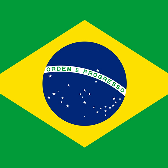 Establishment of ZC Rubber Brazil